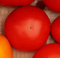 Red_tomato